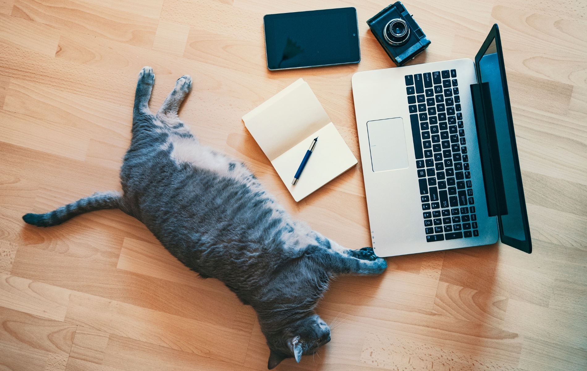 Low Performance im Homeoffice