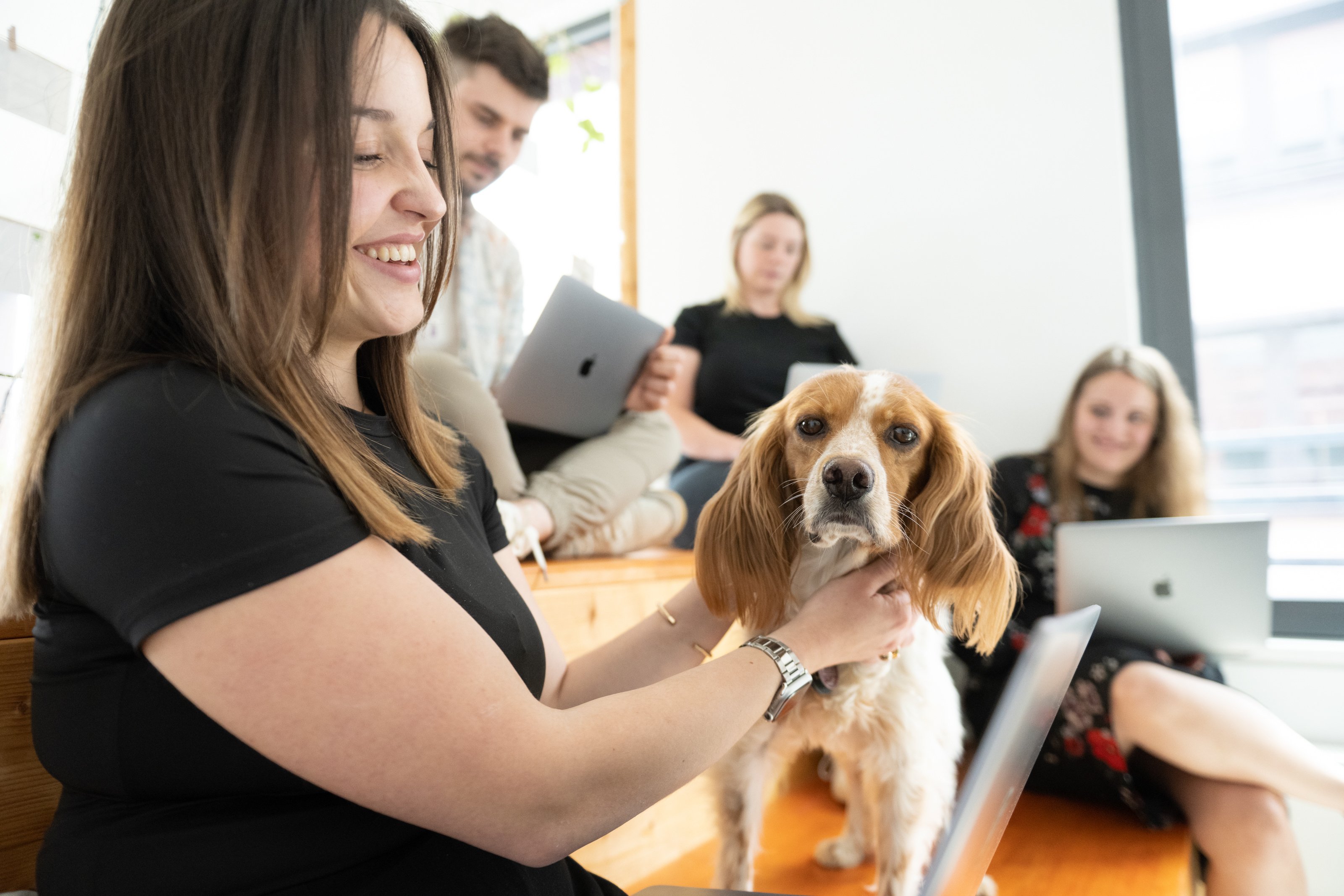 Bürohunde sind ein echter Benefit, der eurer Unternehmen bei Bewerber:innen attraktiver macht.