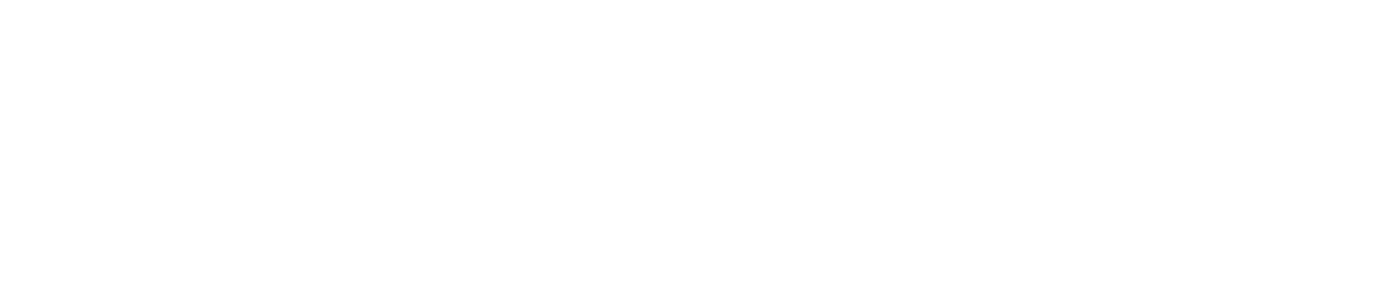 logo_negativ